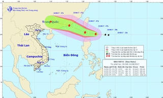Bão Hato tiến gần đảo Luzong (Philippines) với cường độ mạnh thêm