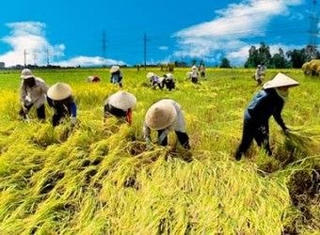 Trà Vinh tập trung củng cố hợp tác xã