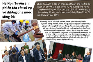 [Infographics] Tuyên án phiên tòa xét xử vụ vỡ đường ống nước sông Đà