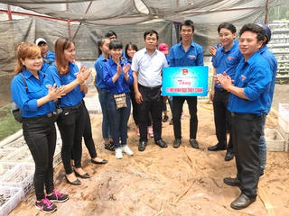 Hỗ trợ thanh niên nông thôn thực hiện ý tưởng khởi nghiệp
