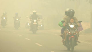 Cháy rừng ở Indonesia và thảm họa khu vực