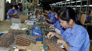 Thu nhập bình quân của người lao động giảm