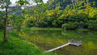 Cúc Phương