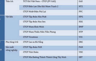 GAS, PVI, NT2 vào Top 50 công ty niêm yết tốt nhất năm 2017