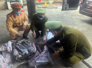 Phạt hơn 100 triệu đồng hai đối tượng giết, vận chuyển thịt nai rừng