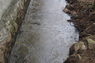 “Sống chung” với chất thải gia súc