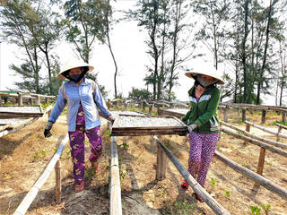 Làng nghề hấp cá vào mùa