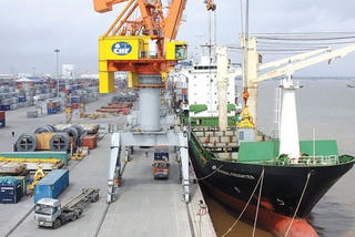 Trên 8 bộ liên quan đến kiểm tra chuyên ngành