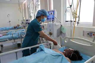 Vụ ngộ độc cá nóc ở Quảng Ngãi: Một người đã tử vong