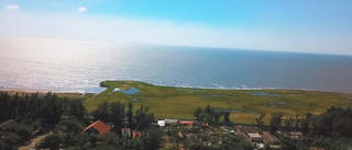 Yêu cầu chủ đầu tư dự án lấn biển Cần Giờ phải giữ được rừng ngập mặn