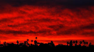 Hoả hoạn ở California: Số người chết nhảy vọt lên 63, hơn 600 người vẫn mất tích