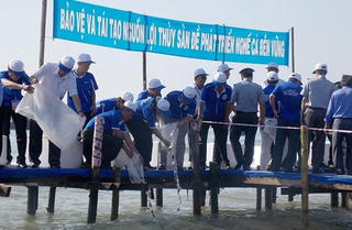 Quảng Ngãi: Tổng kết Tuần lễ biển và hải đảo năm 2015