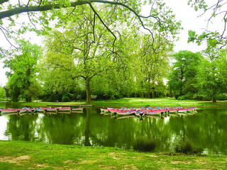 Sống tối giản và hạnh phúc