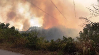 Thừa Thiên -  Huế:  Kịp sơ tán 32 hộ dân, ngăn chặn được cháy rừng uy hiếp lưới điện quốc gia