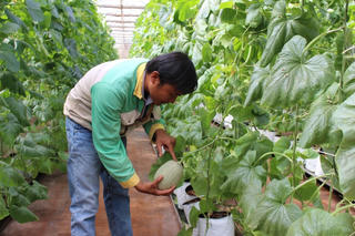 Tìm lối đi cho nông nghiệp hữu cơ