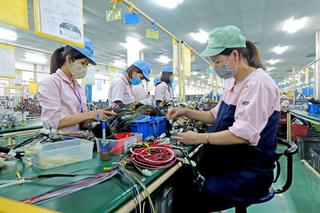 Những lao động nào được nhận hỗ trợ 3,7 triệu đồng từ Nghị quyết 68?