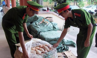 Phát hiện 450kg thịt gà đông lạnh không rõ nguồn gốc