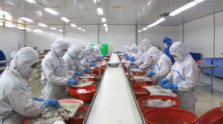 Thủy sản gặp khó