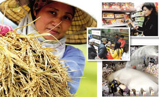 Mỏi mắt tìm thương hiệu quốc gia
