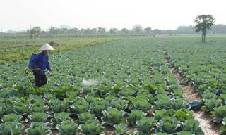 Hiểm họa không dừng trên đồng ruộng