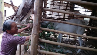 Thoát nghèo nhờ mô hình sinh kế bảo vệ môi trường sống