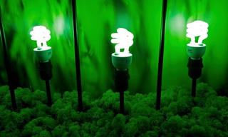 10 tỷ bóng đèn LED 'thắp sáng' COP21