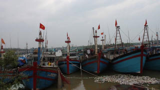 Thanh Hóa: Chưa liên lạc được với 33 lao động làm việc trên biển