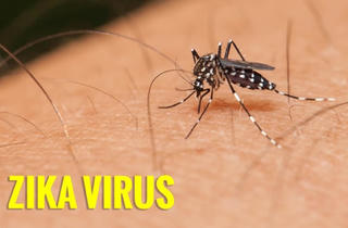 Đề phòng virus Zika xuất hiện trở lại với dịch sốt xuất huyết