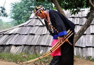 Âm vang núi rừng