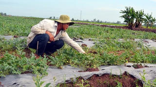 Bà con Khmer nỗ lực xây dựng nông thôn mới