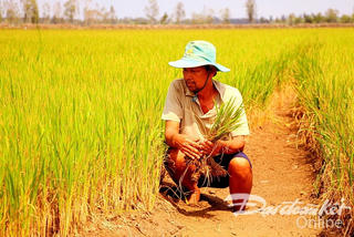 Tìm mô hình thích hợp phát triển ĐBSCL, thích ứng với biến đổi khí hậu