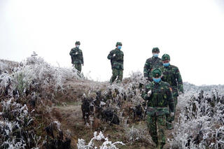 Lửa hồng trong giá rét
