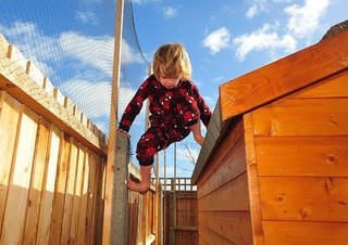 Cậu bé mắc chứng tự kỷ thích leo trèo