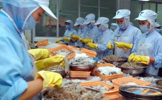Canada là thị trường xuất khẩu tôm tiềm năng