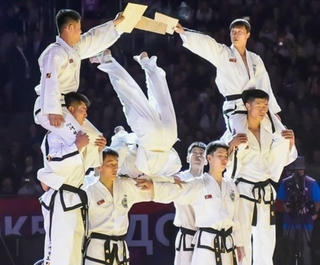 Đoàn quan chức, vận động viên Taekwondo của Triều Tiên tới Hàn Quốc