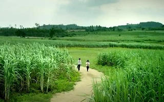 Phim đẹp…