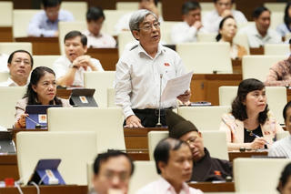 Không kỷ luật kiểu thiếu răn đe