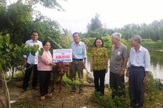 Ông Hải Mặt trận