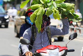 Chỉ số tia cực tím ở mức gây hại cao