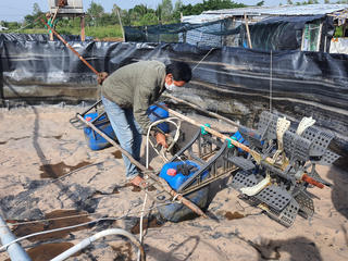 Người nuôi tôm ở Bạc Liêu lao đao