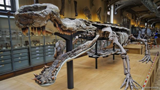 Những “gã khổng lồ” tuyệt chủng