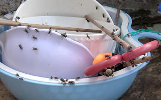 Vụ bất an vì môi trường sống bị ô nhiễm: Nhà máy xử lý rác xin ngưng hoạt động 3 tháng để bảo trì