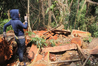 Kỷ luật nhiều cán bộ để xảy ra mất rừng, khoáng sản tại Quảng Nam