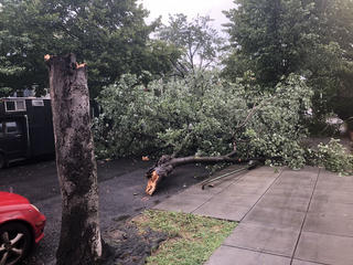 Washington (Mỹ): Hứng 2 trận lốc xoáy cách nhau vài phút