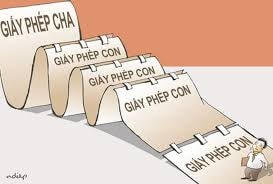 ‘Lệ’ sinh giấy phép con