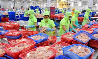 Doanh nghiệp nội không thể chậm chân