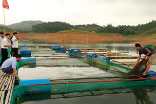 Nuôi cá đặc sản
