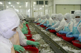 Đối thoại TPP: Cơ hội nào cho doanh nghiệp Việt?