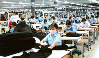 DN dệt may nội 'nhường sân' cho nhà đầu tư ngoại