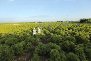 Vì sao doanh nghiệp e dè đầu tư sạch?